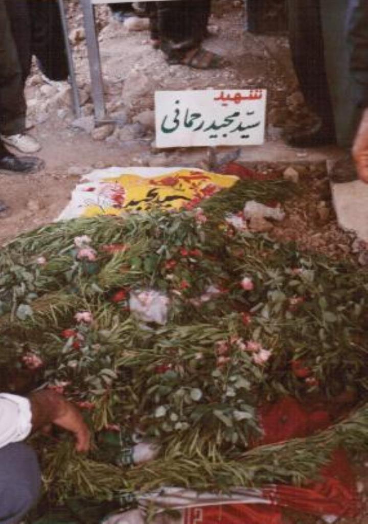 فاقد تصویر